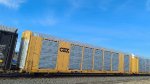 CSX G50258 (Body) TTGX 699933 (Flat)